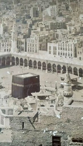مهند غازي